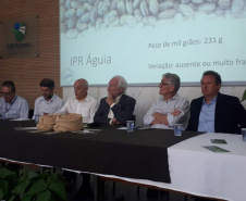 Lançamento do Feijão IPR Águia, em Ponta Grossa