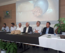 Lançamento do Feijão IPR Águia, em Ponta Grossa