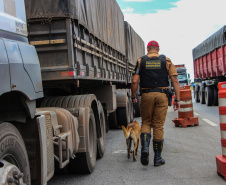 Polícia Militar inicia ações para intensificar segurança nas rodovias estaduais