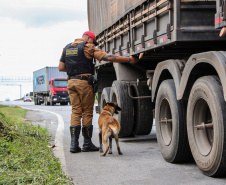 Polícia Militar inicia ações para intensificar segurança nas rodovias estaduais