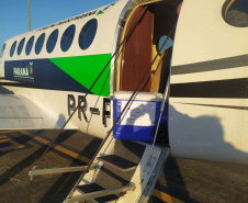 Transporte de órgãos