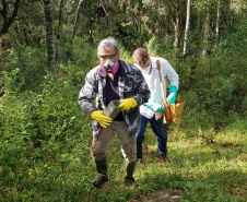 Sesa realiza ação de prevenção e controle da hantavirose em Guarapuava