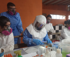 Sesa realiza ação de prevenção e controle da hantavirose em Guarapuava