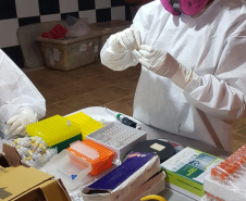 Sesa realiza ação de prevenção e controle da hantavirose em Guarapuava