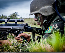 Exército Brasileiro completa 375 anos