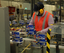 Chocolates colocam Paraná em boa posição em consumo, emprego e renda