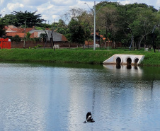 Parques Urbanos IAT