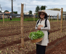 Programa Cultivar Energia inaugura primeira horta em Londrina