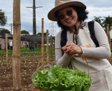 Programa Cultivar Energia inaugura primeira horta em Londrina