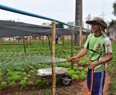 Programa Cultivar Energia inaugura primeira horta em Londrina