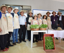 Programa Cultivar Energia inaugura primeira horta em Londrina