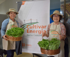 Programa Cultivar Energia inaugura primeira horta em Londrina