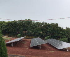 Avicultora do Oeste concretiza sonho de implementar sistema solar com apoio do Estado e BRDE - 