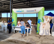 CastraPet Paraná chega a nove cidades em maio