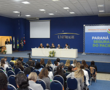  Paraná e Anvisa debatem segurança do paciente em reunião da Saúde