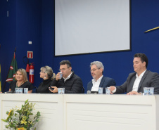  Paraná e Anvisa debatem segurança do paciente em reunião da Saúde