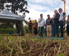 Produção agroecológica ganha impulso com encontro em estação de pesquisa