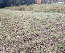 Produção agroecológica ganha impulso com encontro em estação de pesquisa