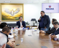 2ª divisão do Campeonato Paranaense 2023