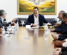 2ª divisão do Campeonato Paranaense 2023