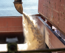 Abril começa com alta expectativa para embarque de granéis para exportação pelo Porto de Paranaguá