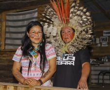 Povos indígenas