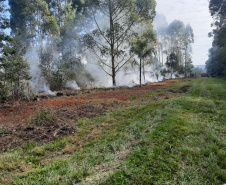 IAT finaliza queima controlada contra espécies invasoras no Parque de Vila Velha