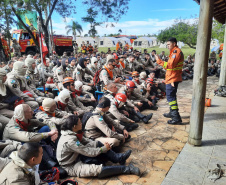 IAT finaliza queima controlada contra espécies invasoras no Parque de Vila Velha