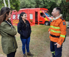 IAT finaliza queima controlada contra espécies invasoras no Parque de Vila Velha