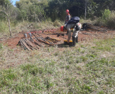 IAT finaliza queima controlada contra espécies invasoras no Parque de Vila Velha