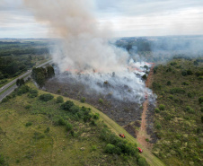 IAT finaliza queima controlada contra espécies invasoras no Parque de Vila Velha
