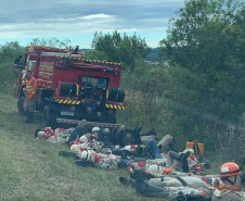 IAT finaliza queima controlada contra espécies invasoras no Parque de Vila Velha