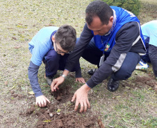  	Paraná se mantém no topo da sustentabilidade com ampliação de programas e novas ações