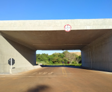 Conservação de pontes Londrina e região 