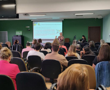 Técnicos da saúde e da educação recebem capacitação para fortalecer o Programa Saúde na Escola