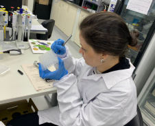 Para entender a doença, Paraná recebe treinamento de sequenciamento de genoma de chikungunya