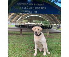 Policiais do SOE ministram palestra em colégio da rede estadual do Paraná