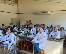 Em parceria com Ministério da Saúde, Paraná realiza capacitação para identificação do vetor de febre maculosa