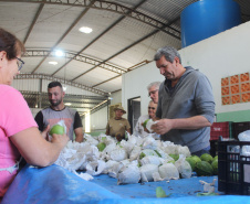 Cooperativa do Norte Pioneiro melhora estrutura com apoio do Programa Coopera Paraná