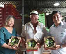 Cooperativa do Norte Pioneiro melhora estrutura com apoio do Programa Coopera Paraná