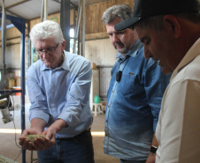 Visita técnica do Sistema Estadual de Agricultura a propriedades de café em Carlópolis