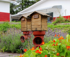 Sanepar amplia ações de preservação de abelhas nativas na Região Metropolitana de Curitiba