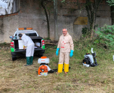 Vigilância Ambiental da Sesa é referência nacional em procedimentos técnicos no combate à dengue