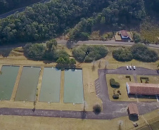 Copel repovoa rio Iguaçu com espécie de peixe ameaçada de extinção