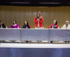 Paraná promoveu reunião técnica para fortalecer Centros de Referência de Atendimento à Mulher