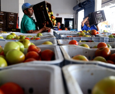 O Governo do Estado, por meio das Centrais de Abastecimento do Paraná (Ceasa), conquistou o Prêmio Áster 2023, promovido pela Esic Business &amp; Marketing School, pelo Banco de Alimentos Comida Boa.