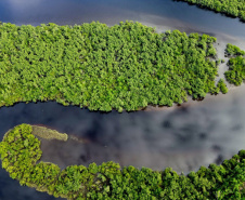 Criada pela Organização das Nações Unidas (ONU), o Dia Internacional da Biodiversidade busca conscientizar a população da respeito importância da diversidade biológica em todos os ecossistemas