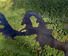 Criada pela Organização das Nações Unidas (ONU), o Dia Internacional da Biodiversidade busca conscientizar a população da respeito importância da diversidade biológica em todos os ecossistemas