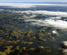 Selo Clima Paraná