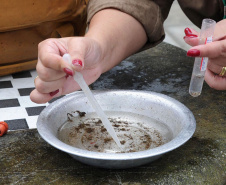 Sesa alerta para sintomas da dengue e importância do tratamento adequado 